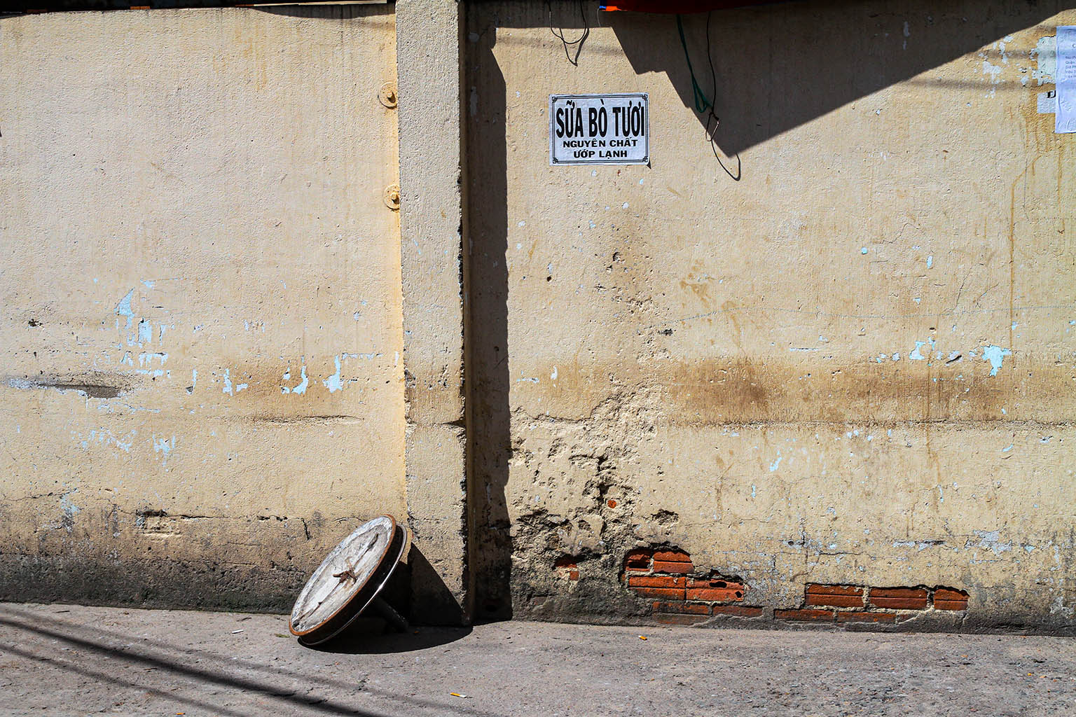 Cái đế cây dù